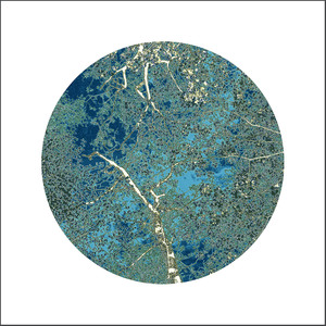 Zen Sanctuary Group Show